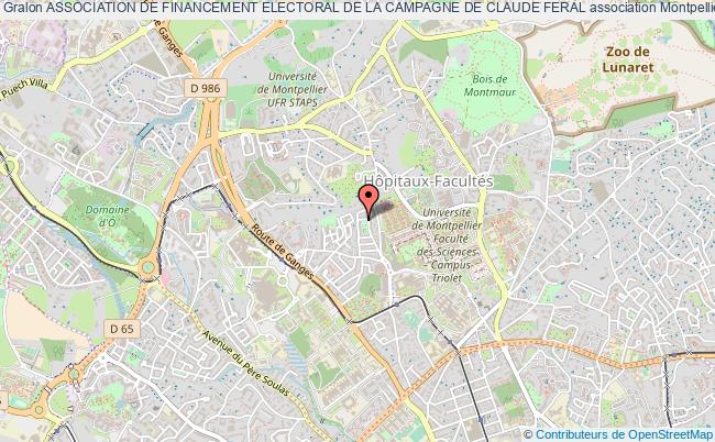 plan association Association De Financement Electoral De La Campagne De Claude Feral Montpellier