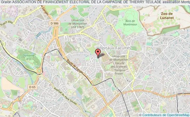 ASSOCIATION DE FINANCEMENT ELECTORAL DE LA CAMPAGNE DE THIERRY TEULADE