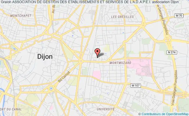 plan association Association De Gestion Des Etablissements Et Services De L'a.d.a.p.e.i. Dijon