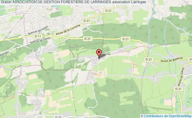 plan association Association De Gestion Forestiere De Larringes Larringes
