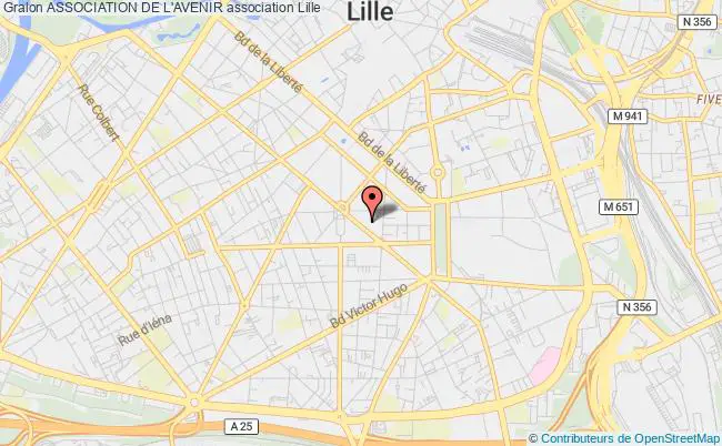 plan association Association De L'avenir Lille