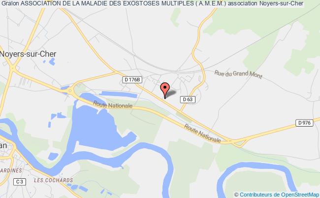 plan association Association De La Maladie Des Exostoses Multiples ( A.m.e.m.) Noyers-sur-Cher