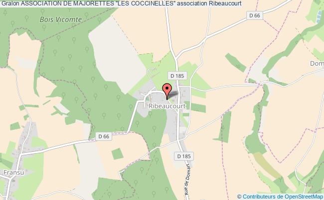 ASSOCIATION DE MAJORETTES "LES COCCINELLES"