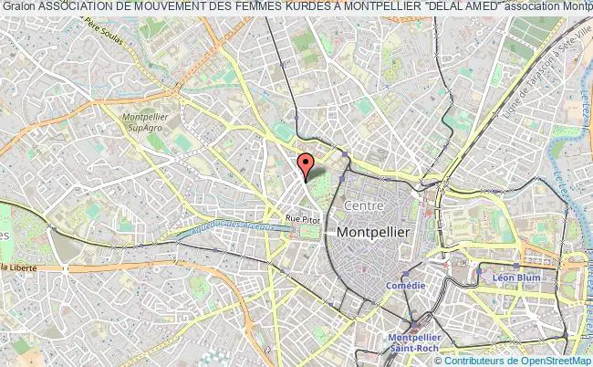 plan association Association De Mouvement Des Femmes Kurdes A Montpellier "delal Amed" Montpellier