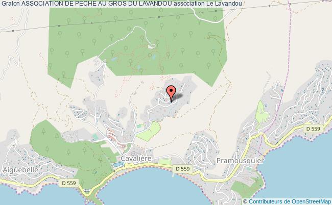 ASSOCIATION DE PECHE AU GROS DU LAVANDOU