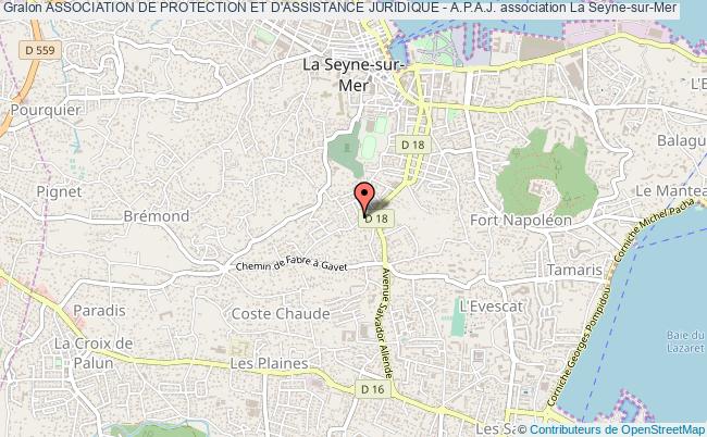 ASSOCIATION DE PROTECTION ET D'ASSISTANCE JURIDIQUE - A.P.A.J.