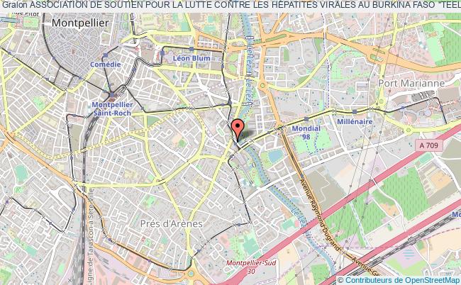 plan association Association De Soutien Pour La Lutte Contre Les Hepatites Virales Au Burkina Faso "teel Taaba" Montpellier