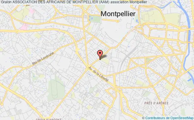 plan association Association Des Africains De Montpellier (aam) Montpellier