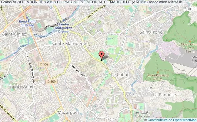 plan association Association Des Amis Du Patrimoine Medical De Marseille (aapmm) Marseille cedex 9