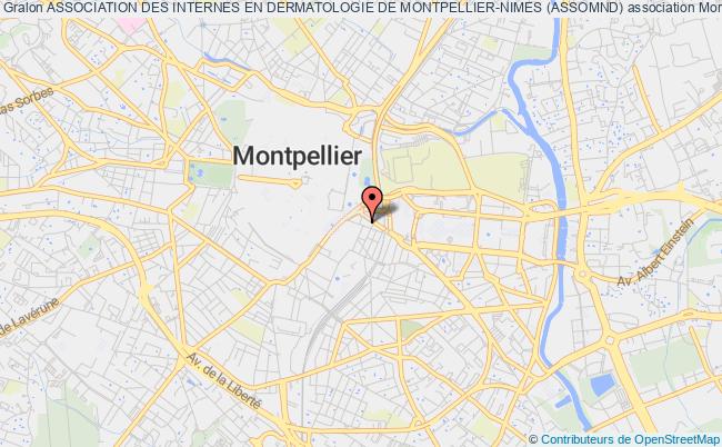 plan association Association Des Internes En Dermatologie De Montpellier-nimes (assomnd) Montpellier