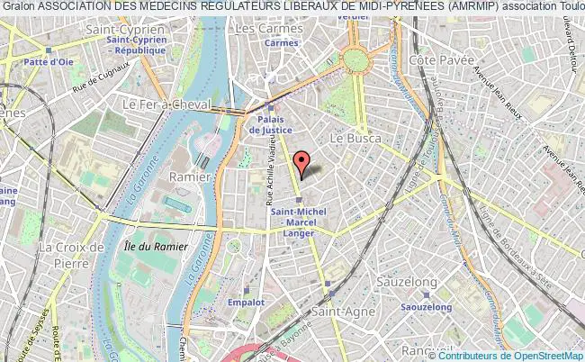 plan association Association Des Medecins Regulateurs Liberaux De Midi-pyrenees (amrmip) Toulouse