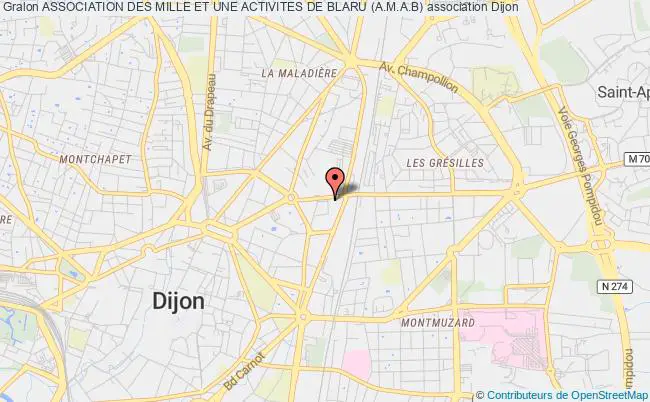 plan association Association Des Mille Et Une Activites De Blaru (a.m.a.b) Dijon