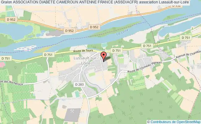 plan association Association DiabÈte Cameroun Antenne France (assdiacfr) Lussault-sur-Loire