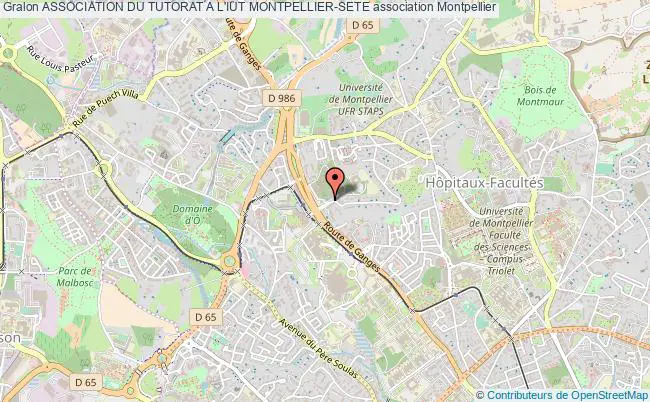 plan association Association Du Tutorat A L'iut Montpellier-sete Montpellier