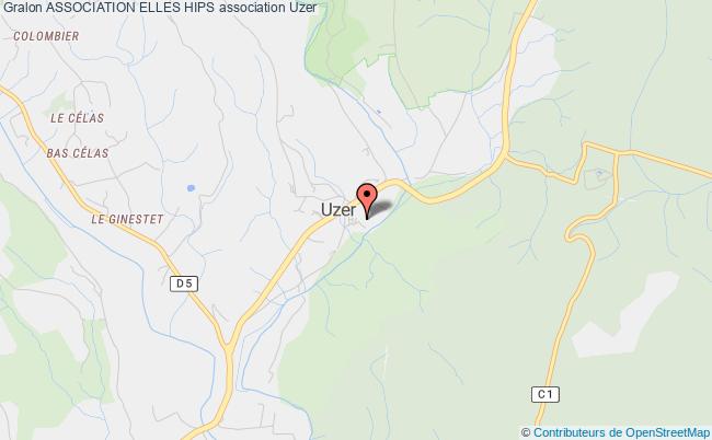 ASSOCIATION ELLES HIPS