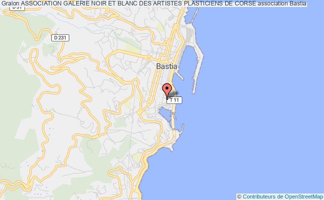 plan association Association Galerie Noir Et Blanc Des Artistes Plasticiens De Corse Bastia