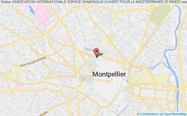 plan association Association Internationale Espace Numerique Ouvert Pour La Mediterranee (e-omed) Montpellier