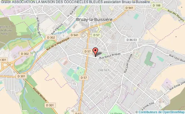 plan association Association La Maison Des Coccinelles Bleues Bruay-la-Buissière
