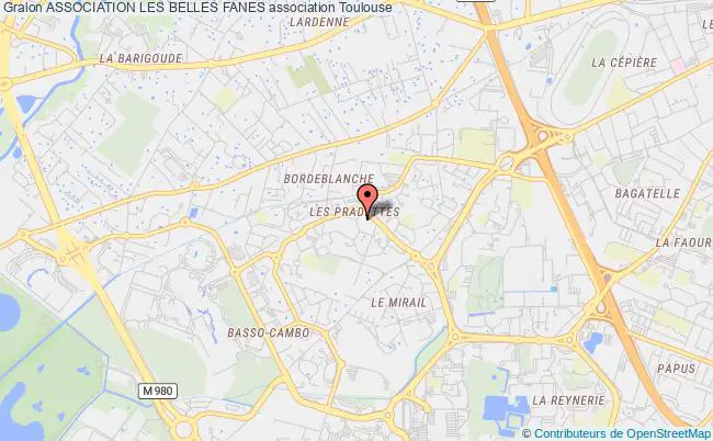 plan association Association Les Belles Fanes Toulouse