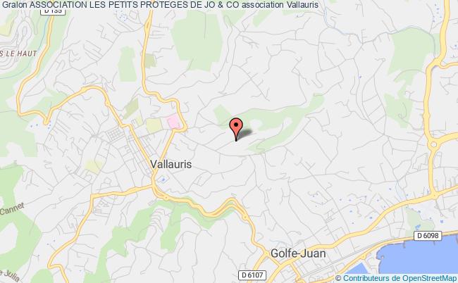 Association Les Petits Proteges De Jo Co Association Animaux Domestiques Adoption Chat Detresse Disparition Vallauris