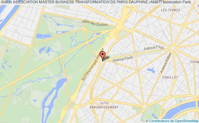 plan association Association Master Business Transformation De Paris-dauphine (ambt) Paris