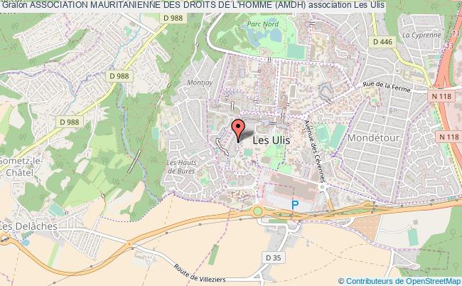 ASSOCIATION MAURITANIENNE DES DROITS DE L'HOMME (AMDH)
