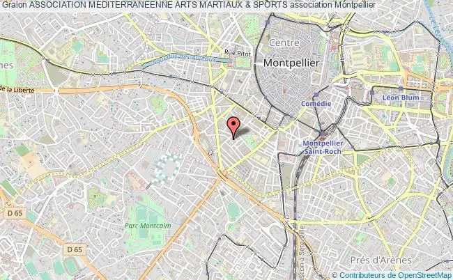 plan association Association Mediterraneenne Arts Martiaux & Sports Montpellier