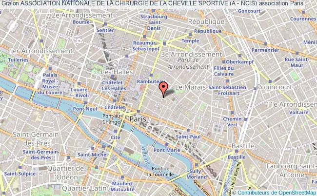 plan association Association Nationale De La Chirurgie De La Cheville Sportive (a - Ncis) PARIS