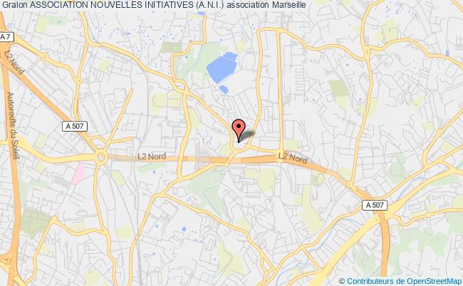 ASSOCIATION NOUVELLES INITIATIVES (A.N.I.)