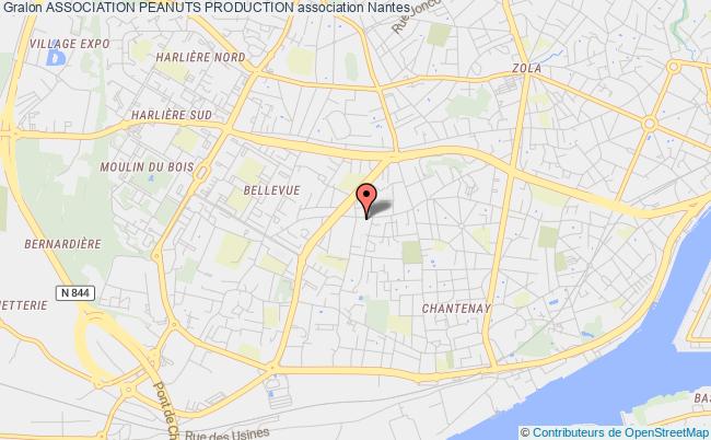 plan association Association Peanuts Production Nantes