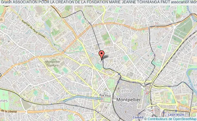 plan association Association Pour La Creation De La Fondation Marie Jeanne Tchinianga Fmjt Montpellier