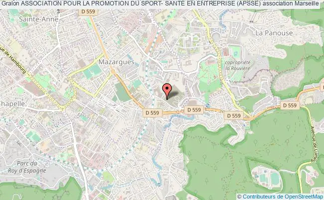 plan association Association Pour La Promotion Du Sport- SantÉ En Entreprise (apsse) Marseille