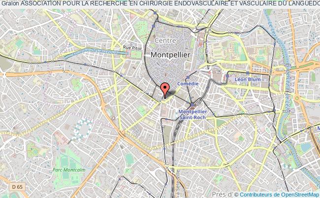 plan association Association Pour La Recherche En Chirurgie Endovasculaire Et Vasculaire Du Languedoc Roussillon Montpellier