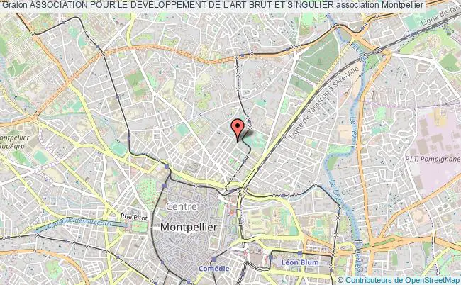 plan association Association Pour Le Developpement De L Art Brut Et Singulier Montpellier