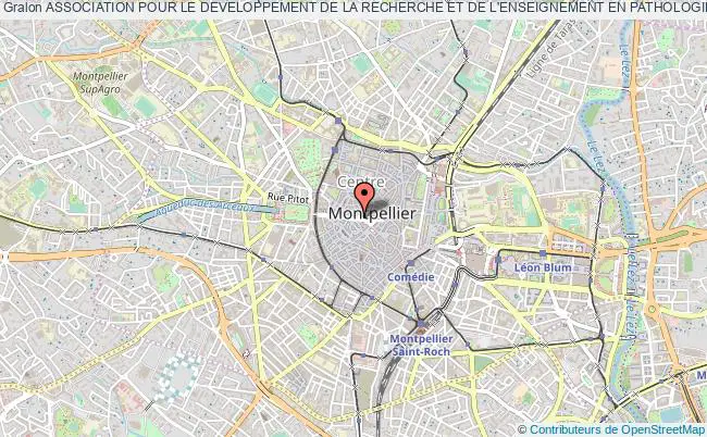 plan association Association Pour Le Developpement De La Recherche Et De L'enseignement En Pathologie (a.d.r.e.p.) Montpellier