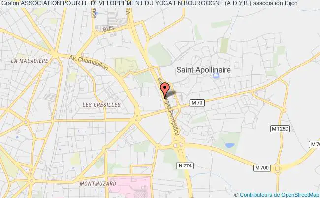 plan association Association Pour Le Developpement Du Yoga En Bourgogne (a.d.y.b.) Dijon