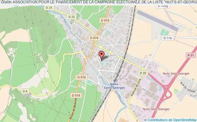 plan association Association Pour Le Financement De La Campagne Electorale De La Liste "nuits-st-georges....passionnement" Nuits-Saint-Georges