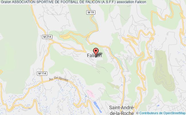 ASSOCIATION SPORTIVE DE FOOTBALL DE FALICON (A.S.F.F.)