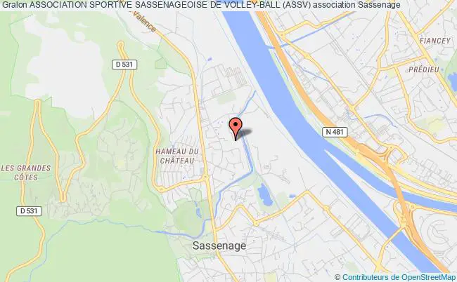 ASSOCIATION SPORTIVE SASSENAGEOISE DE VOLLEY-BALL (ASSV)