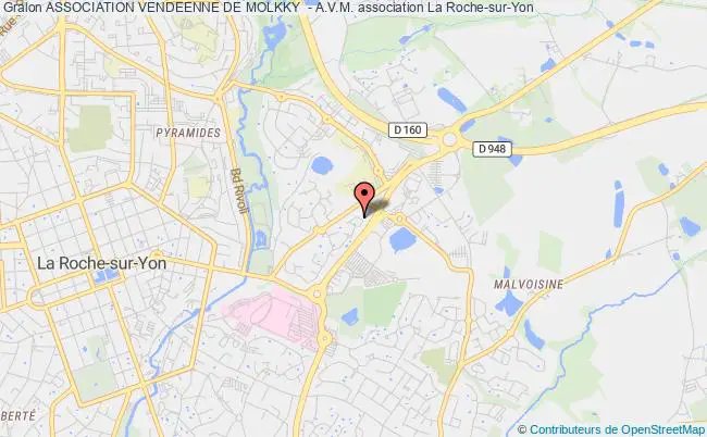 plan association Association Vendeenne De Molkky  - A.v.m. Roche-sur-Yon