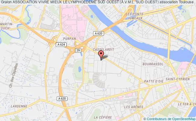 plan association Association Vivre Mieux Le Lymphoedeme Sud Ouest (a.v.m.l. Sud Ouest) Toulouse