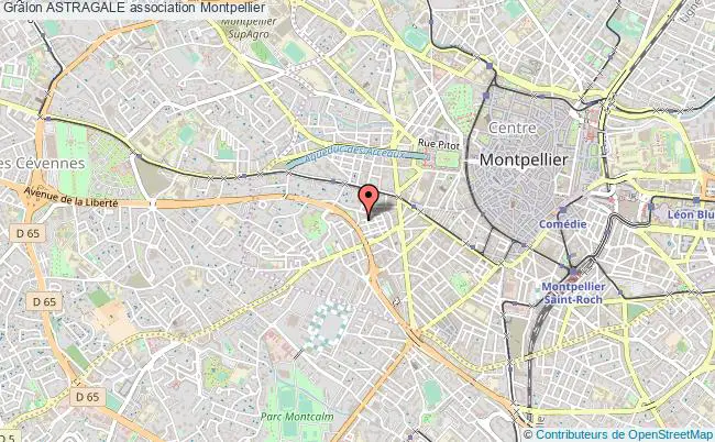 plan association Astragale Montpellier