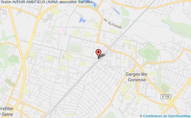 AVENIR AMBITIEUX (AVAM)