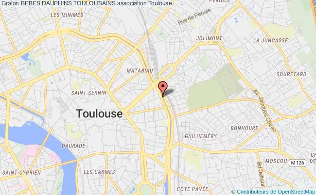plan association Bebes Dauphins Toulousains Toulouse