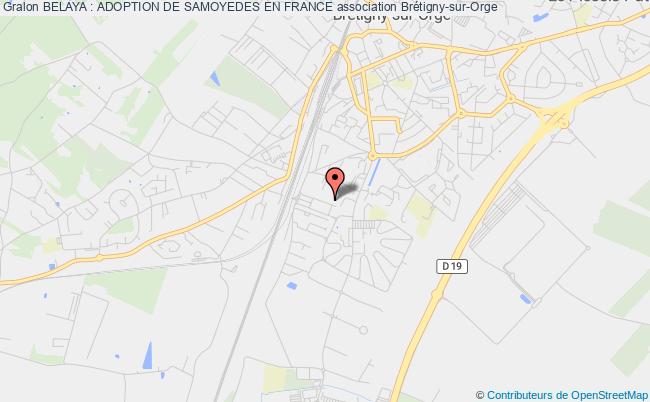 plan association Belaya : Adoption De Samoyedes En France Brétigny-sur-Orge