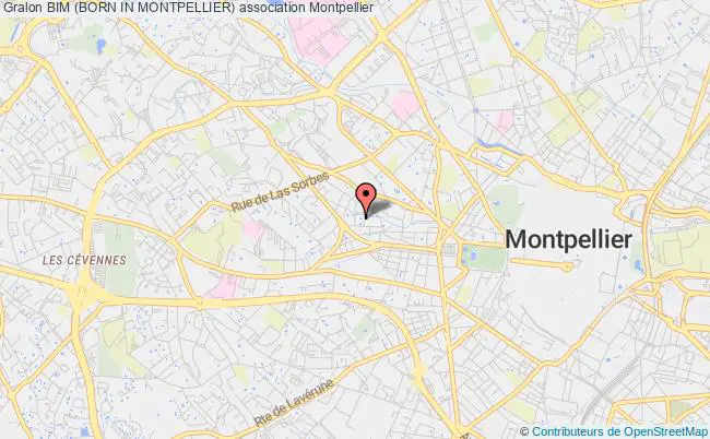 plan association Bim (born In Montpellier) Montpellier