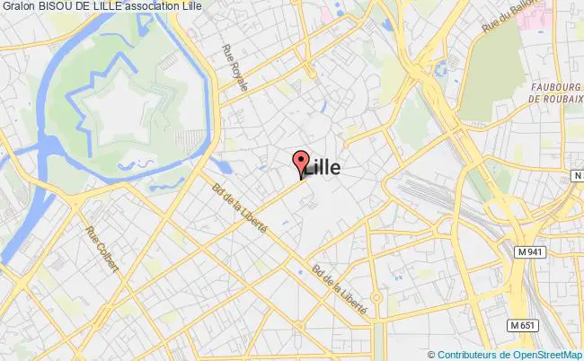plan association Bisou De Lille Lille