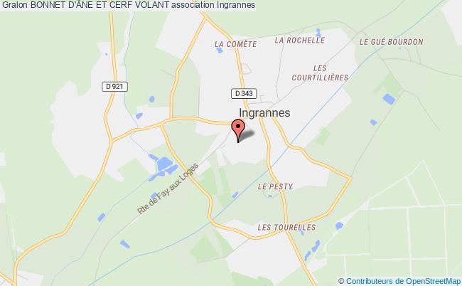 BONNET D'ÂNE ET CERF VOLANT