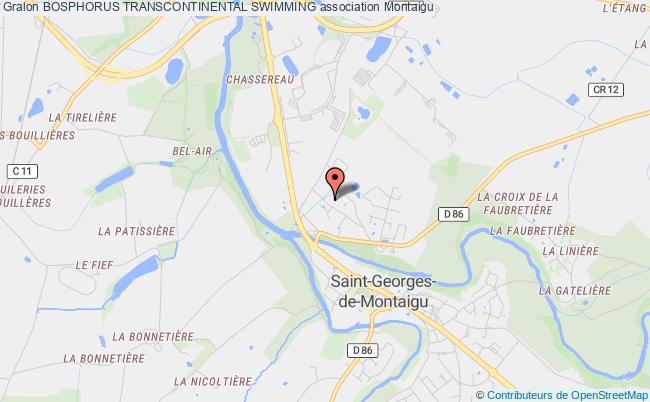 plan association Bosphorus Transcontinental Swimming Montaigu-Vendée