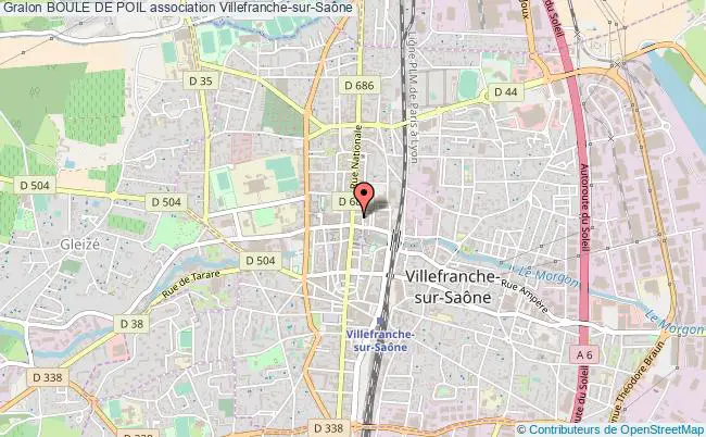 plan association Boule De Poil Villefranche-sur-Saône